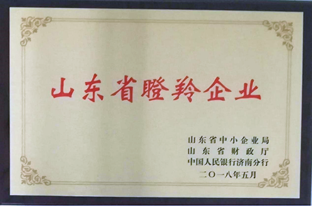 OG真人官方顺利获得2021年度“山东省瞪羚企业”复审